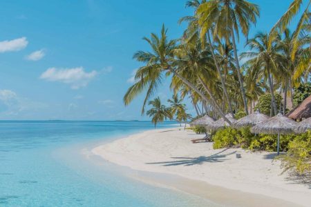 The Ultimate Maldives Travel Guide