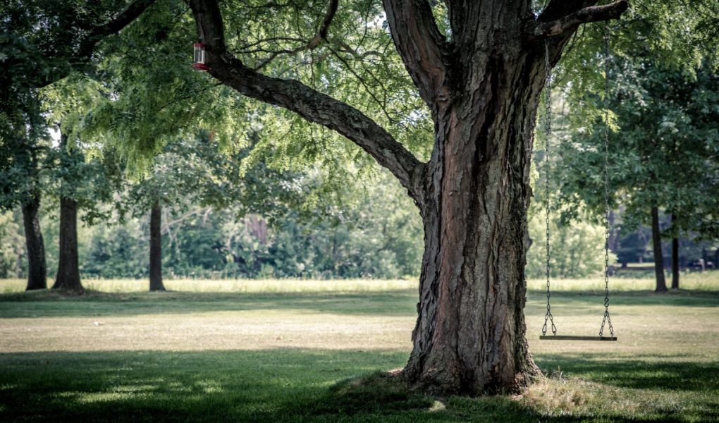 The Best Parks In London: A Green Space Guide