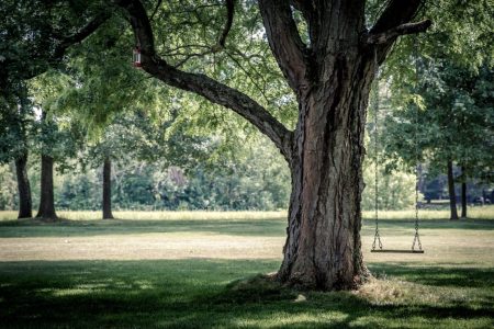 The Best Parks In London: A Green Space Guide