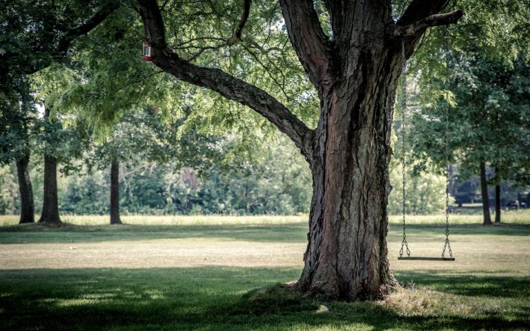 The Best Parks In London: A Green Space Guide