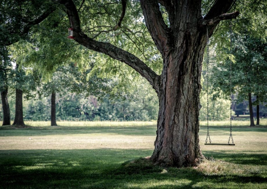 The Best Parks In London: A Green Space Guide