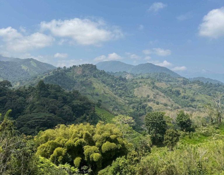 What To Pack For The Lost City Trek, Colombia