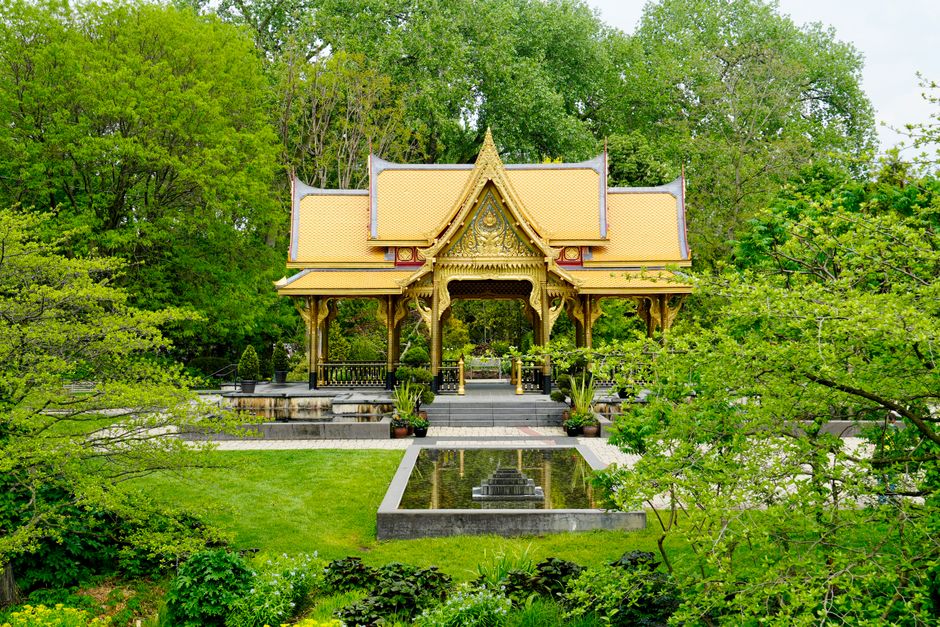 A beautiful Asian pavilion surrounded by lush greenery and a reflective pool in a botanica
