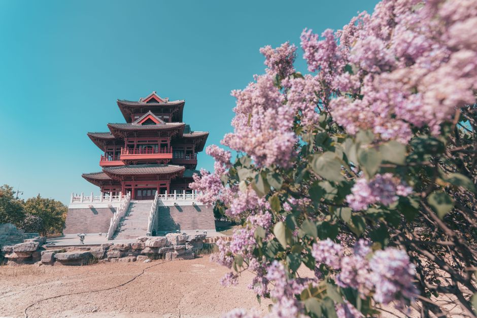 A stunning view of an ancient temple surrounded by vibrant flowers under a clear blue sky.