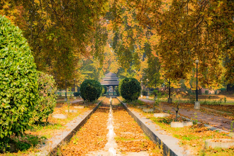 Capture of a tranquil autumn pathway surrounded by lush foliage in a peaceful park setting.