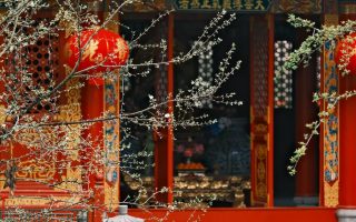 March Temple And Garden Mornings In Asia: March Temple Mornings in Asia: Beat the Crowds