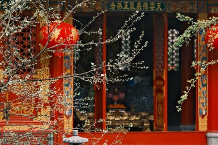 March Temple And Garden Mornings In Asia: March Temple Mornings in Asia: Beat the Crowds