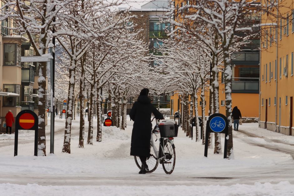 Urban winter scene with a woman walking a bicycle on a snow-covered street lined with trees.