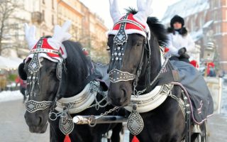 Kraków in Winter: The Old Town and Warming Polish Food
