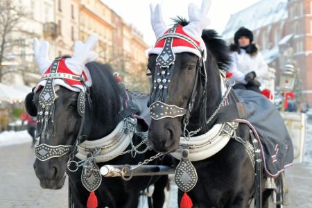 Kraków in Winter: The Old Town and Warming Polish Food