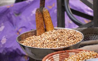 Ethiopia at Timkat: The Epiphany Festival in Gondar and Lalibela