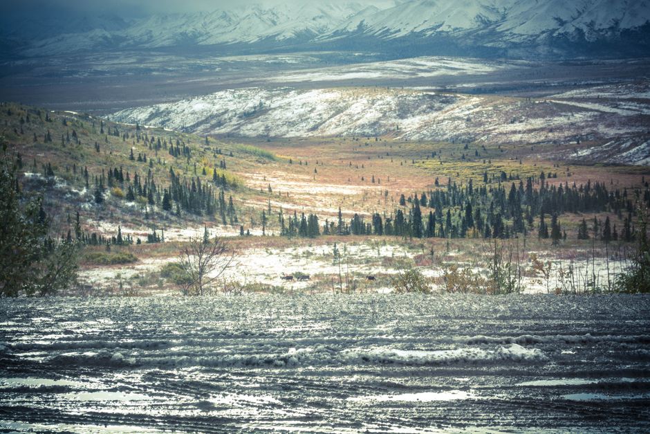 Breathtaking view of snowy mountains with pine trees and rolling hills.