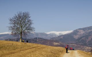 Early Spring Hiking Day Walks That End Before Dusk
