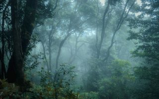 Winter Hiking in the Canary Islands: La Gomera and Gran Canaria Trails
