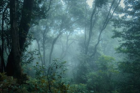 Winter Hiking in the Canary Islands: La Gomera and Gran Canaria Trails