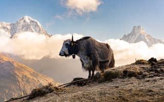 Multi-Day Himalayan Trekking For Beginners: Multi-Day Himalayan Treks for Beginners: Gear, Permits & Safety Without the Usual Mistakes