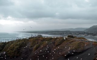 New Zealand in Midsummer: A January Road Trip on the North Island
