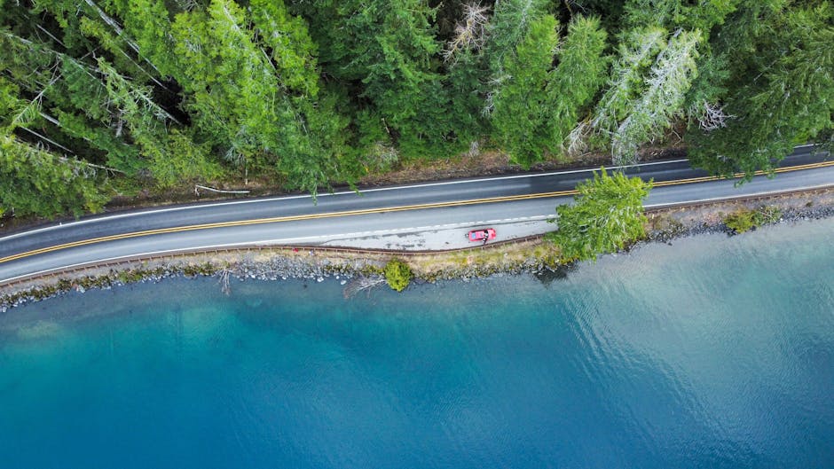 Aerial view of a car on a road by a tranquil lakeside surrounded by lush green forest trees.