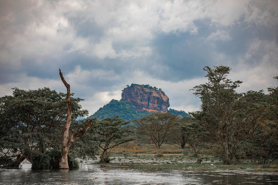 Majestic Sigiriya Rock amidst lush foliage and moody clouds in Sri Lanka.
