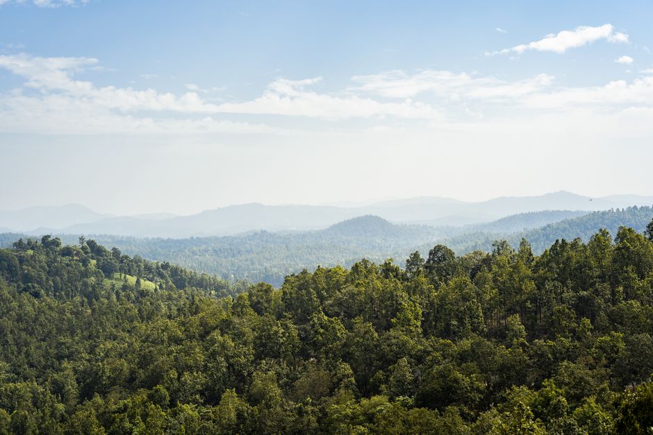 Scenic view of lush forests and distant mountains under a clear blue sky in India.