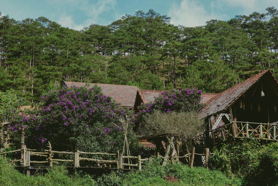 Rustic village homes amidst vibrant greenery and blooming flowers in a serene forest setting.