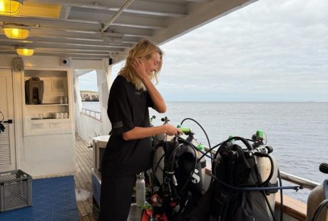 Galapagos Islands Scuba Diving Travel Guide | Diving In The Cold Season