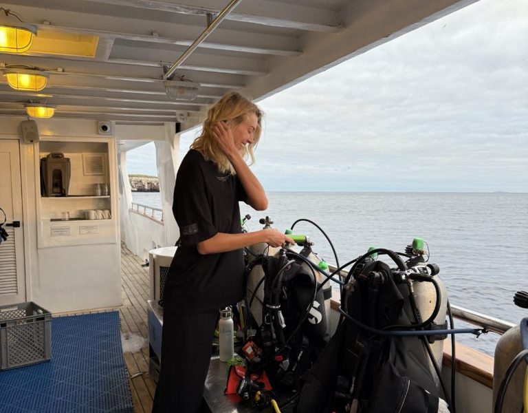 Galapagos Islands Scuba Diving Travel Guide | Diving In The Cold Season Galapagos Islands Scuba Diving Travel Guide | Diving In The Cold Season