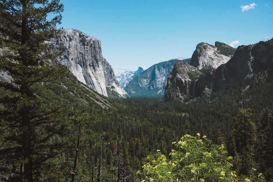 Scenic view of Yosemite Valley's iconic El Capitan and Half Dome under a bright blue sky.